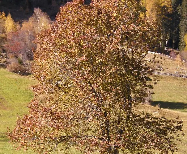 Dorfblick * Kaunertal