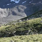 Dorfblick Apartman *