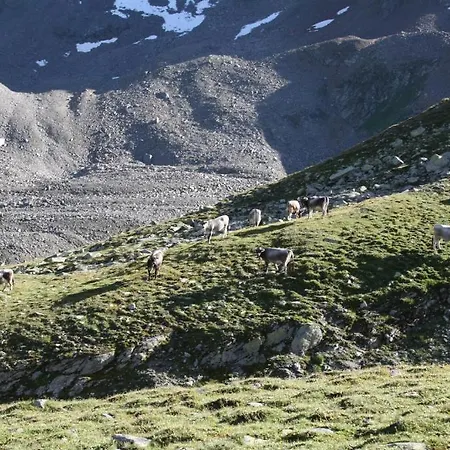 Dorfblick Lägenhet *