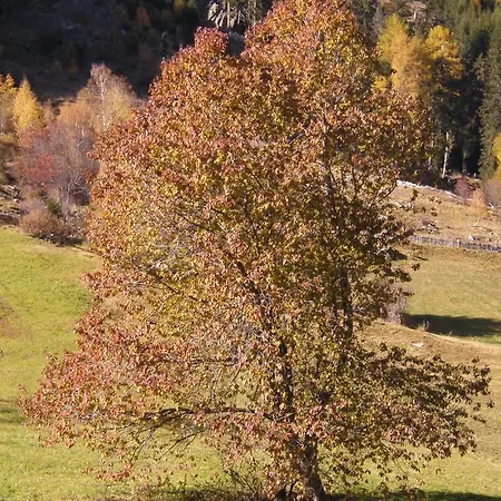 Dorfblick * Kaunertal