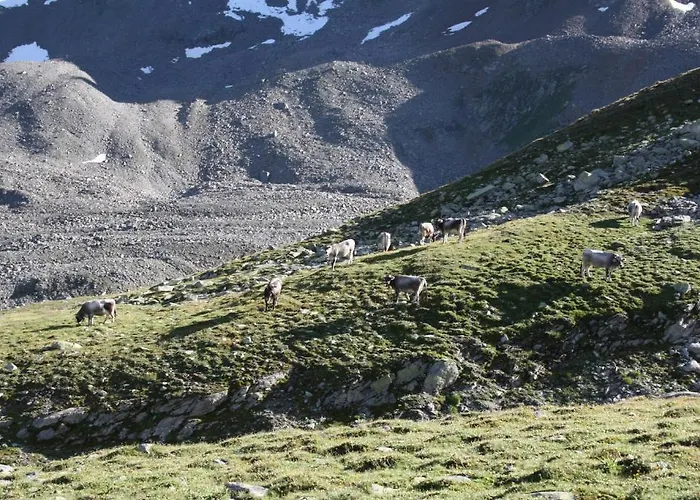 Dorfblick Apartmán *